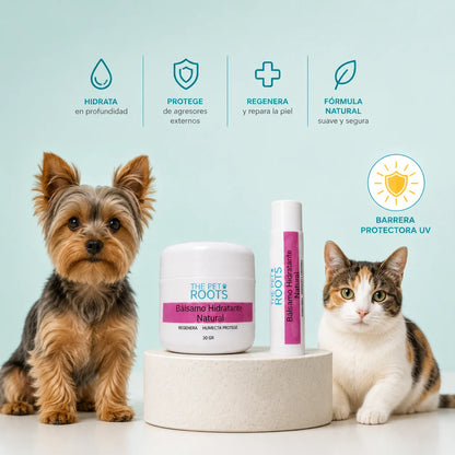 Bálsamo hidratante con barrera protectora UV