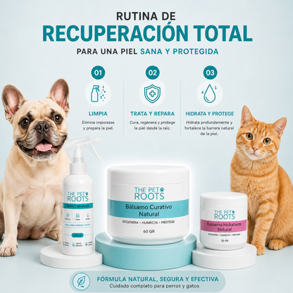 Rutina de recuperación total