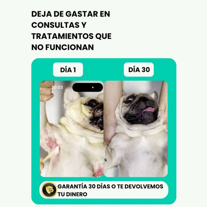 El único kit para piel de mascotas con garantía de resultados o te devolvemos el dinero