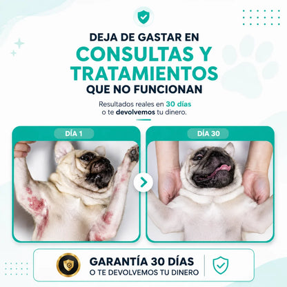 Rutina de recuperación total